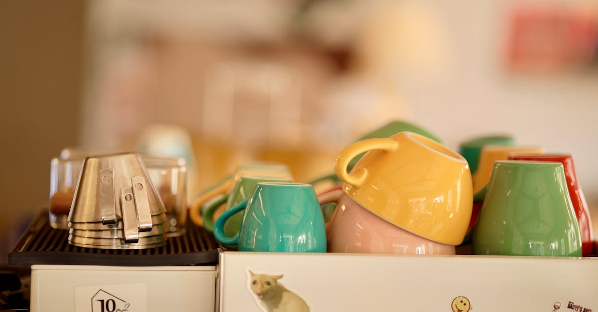 Palacecup Cafe / Restaurant footer